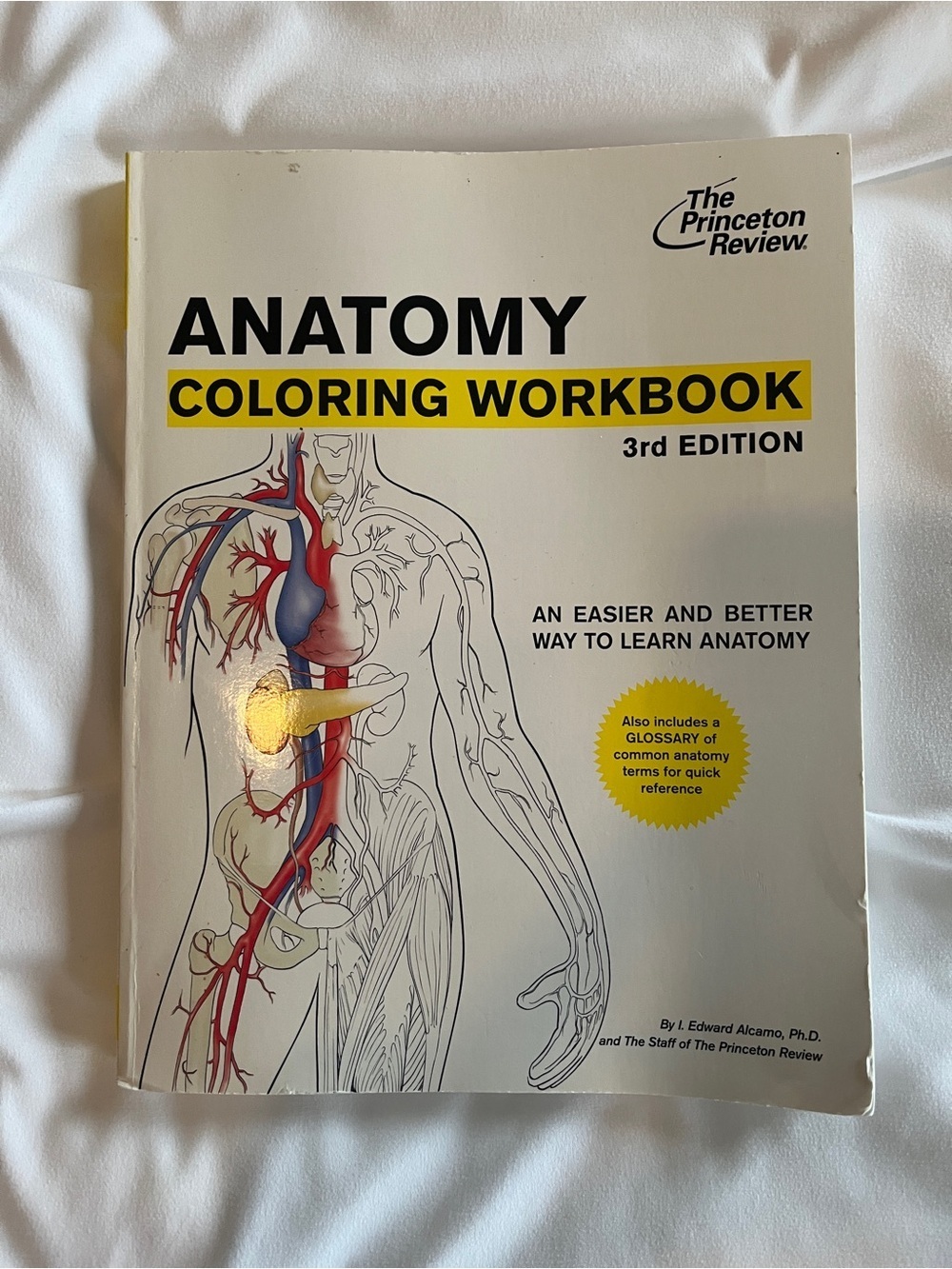 MCAT Study Anatomy Colouring Book